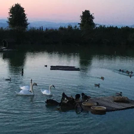 La Rimessa Experience-dream Holiday home Montaione